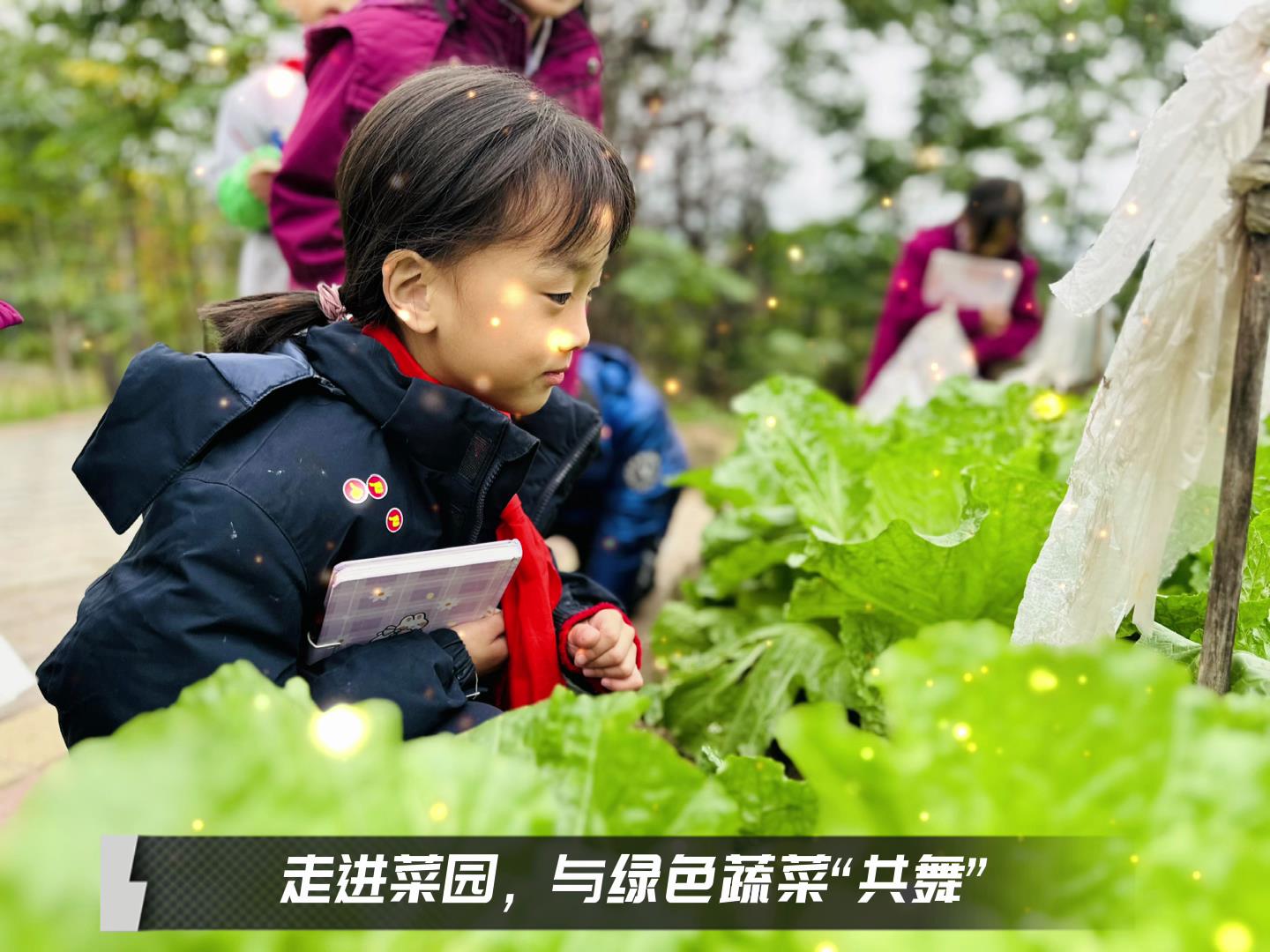 美好學(xué)校|留校時(shí)光，走出教室，與綠色蔬菜共舞