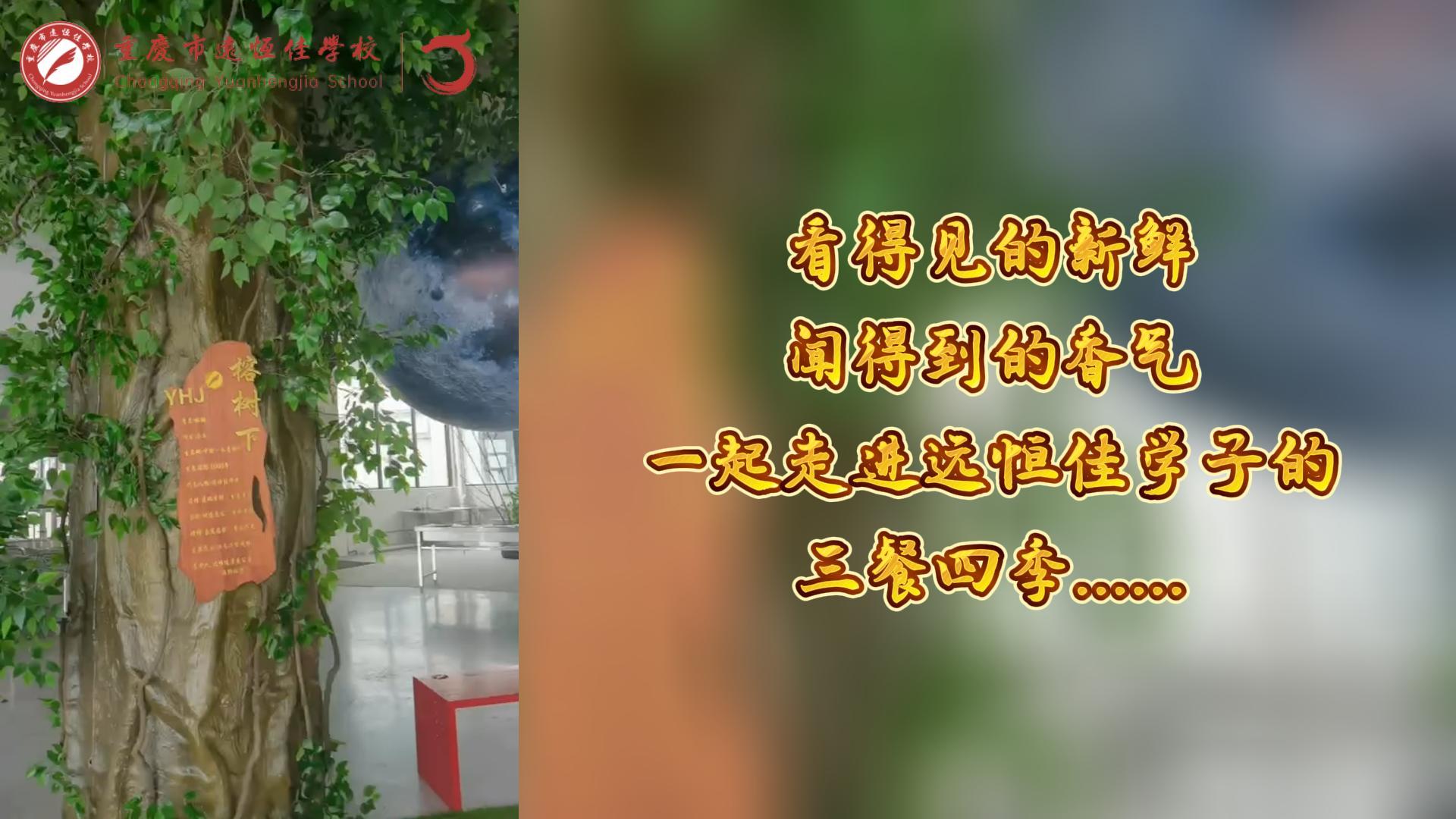 美好學(xué)校|看得見的新鮮，聞得到的香味，一起走進(jìn)遠(yuǎn)恒佳學(xué)子的三餐四季!